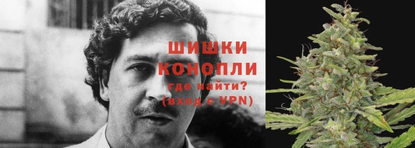 PSILOCYBIN Волоколамск