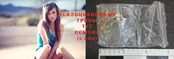 PSILOCYBIN Волоколамск