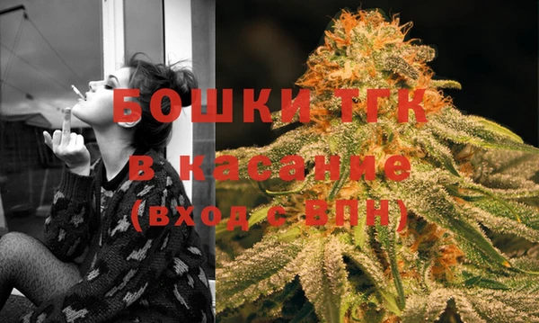 индика Сосновка