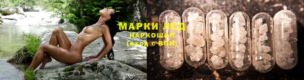 хмурый Сосновоборск