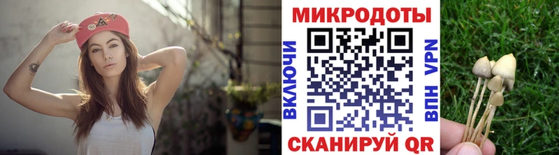 Псилоцибиновые грибы Cubensis  Купить закладки  Полевской 